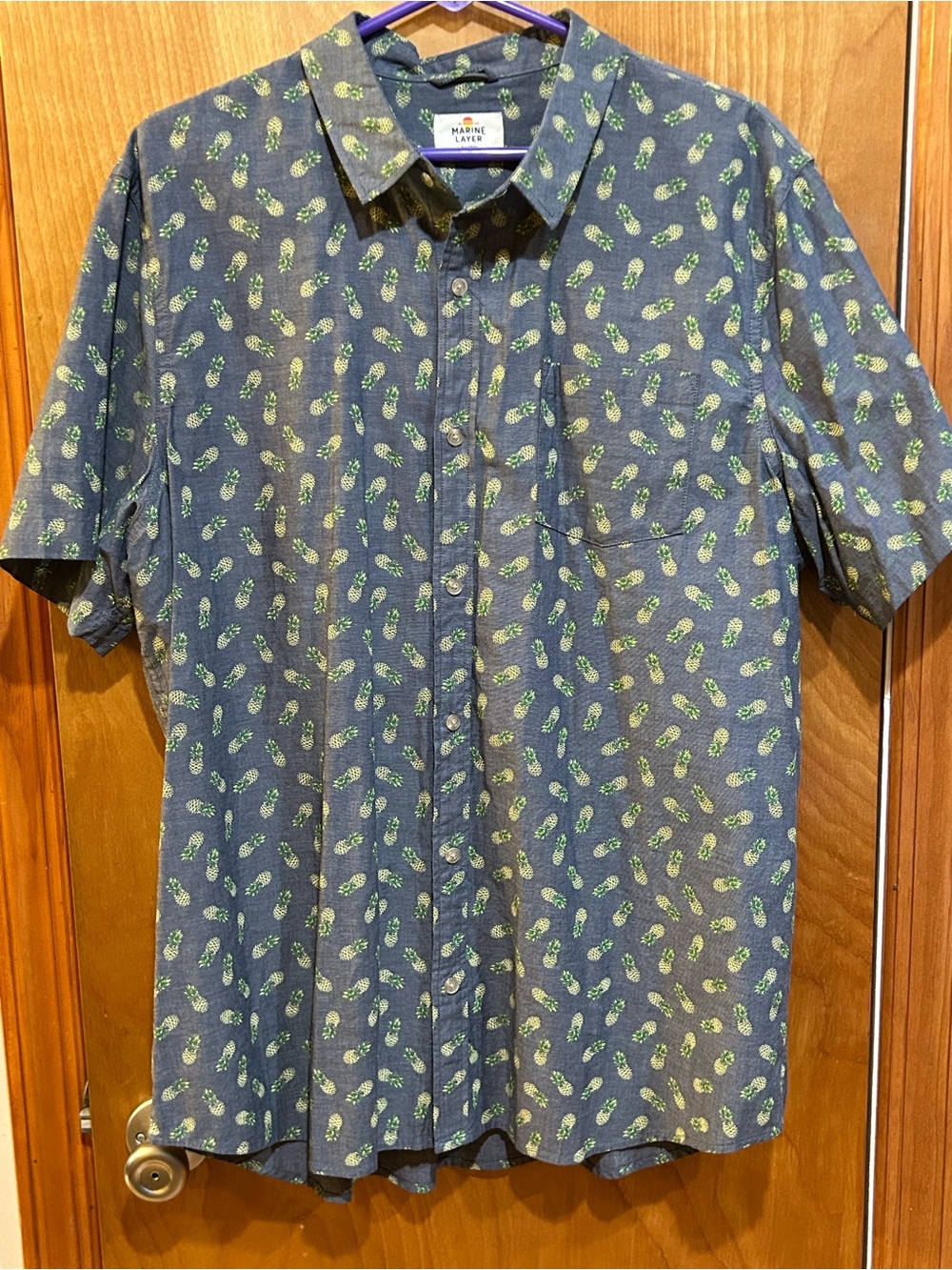Marine Layer Men’s XL Short Sleeve Button Down Shirt - Blue Pineapple Print